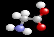 glycine 3D