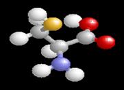 cysteine 3D