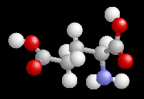 glutamic acid 3D