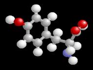 tyrosine 3D