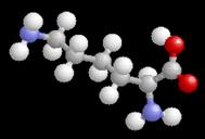 lysine 3D