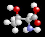 threonine 3D